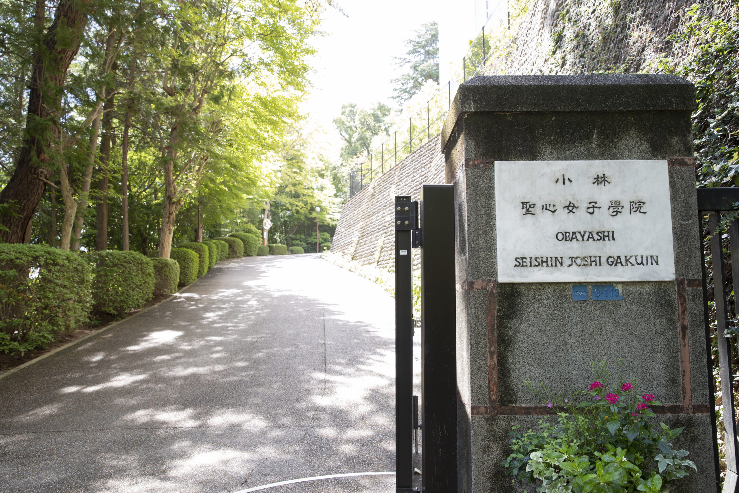 通信制課程の写真(兵庫県宝塚市)